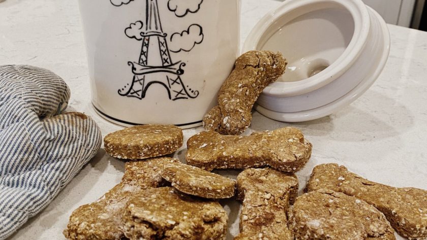 peanut butter pumpkin dog treats oats cinnamon